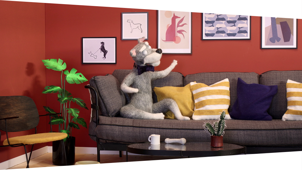 Stop motion schnauzer on sofa: Box Makers Yard